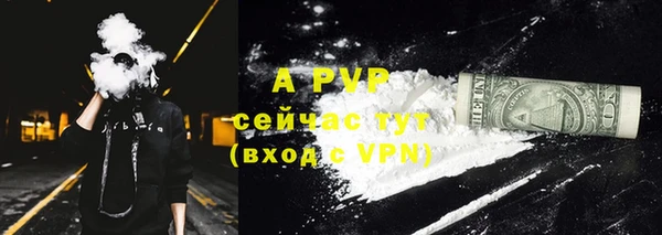 PSILOCYBIN Аркадак