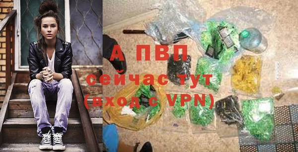 PSILOCYBIN Аркадак