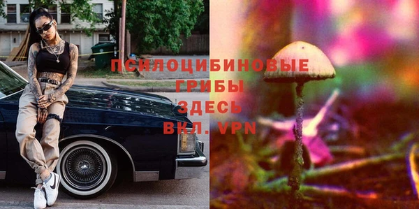 дурь Алексин