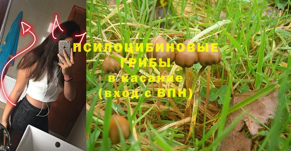 PSILOCYBIN Аркадак
