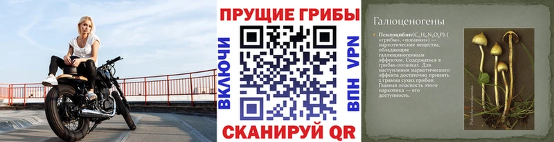 Галлюциногенные грибы мицелий  Баймак 